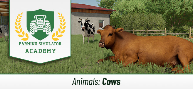 Tierzucht Kühe Wie Ihr Rinder Züchtet Und Versorgt Grundlagen Tierhaltung Simulator 0979
