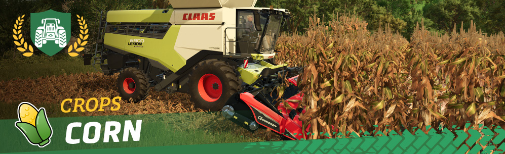 [Crops 101] How to Sow & Harvest Corn/Maize