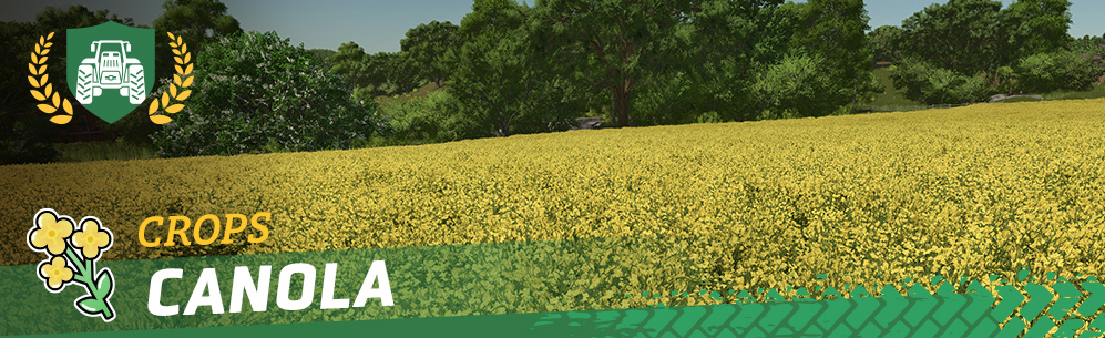 [Feldfrüchte] Raps - Wie ihr sät und erntet