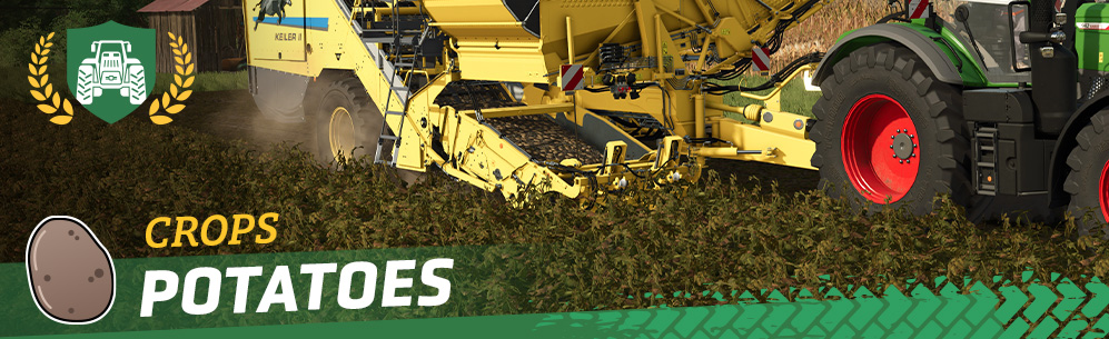 [Crops 101] How to Sow & Harvest Potatoes