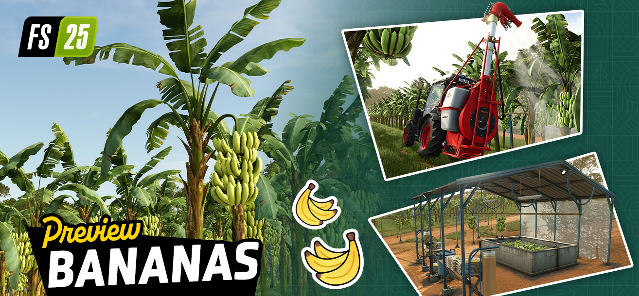 Crop Preview: Bananas | Beans & Alpacas