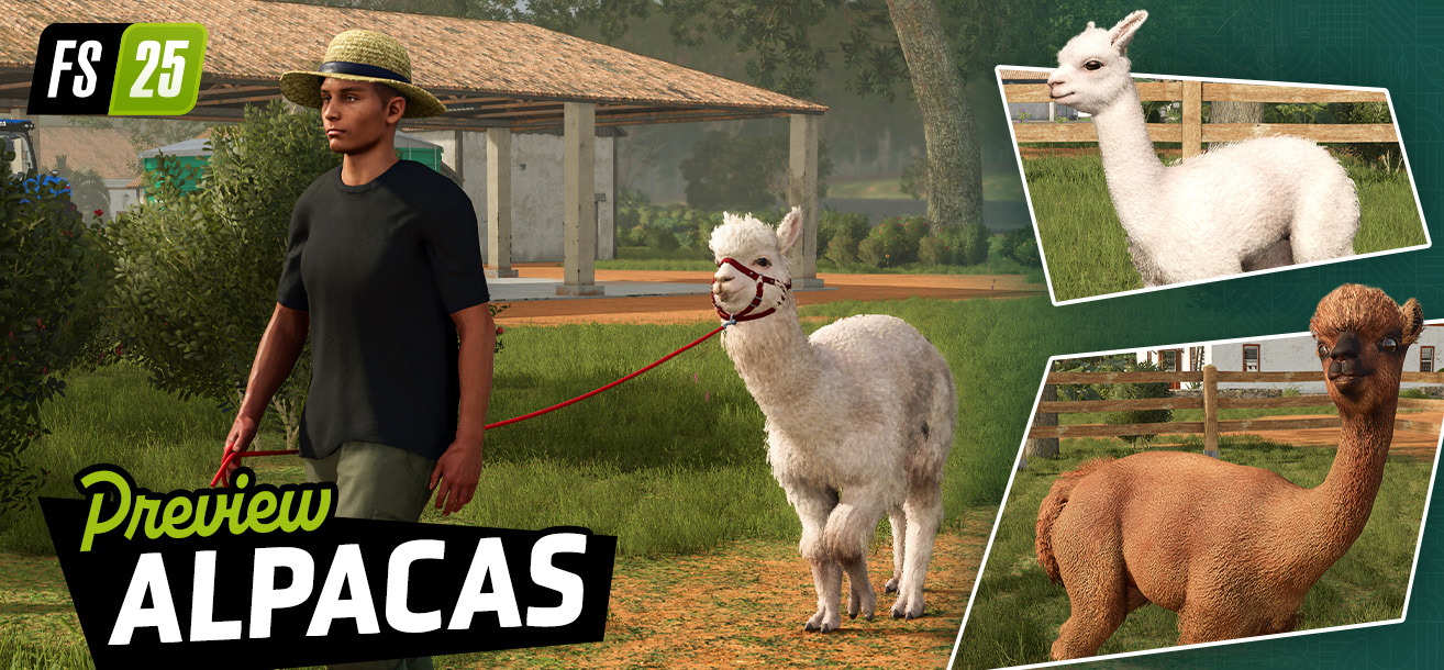 Fluffy Animal Preview: Alpacas | Beans & Alpacas