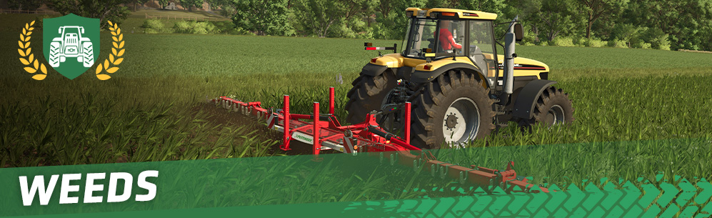 [Ground Working 101] Everything About Weeds