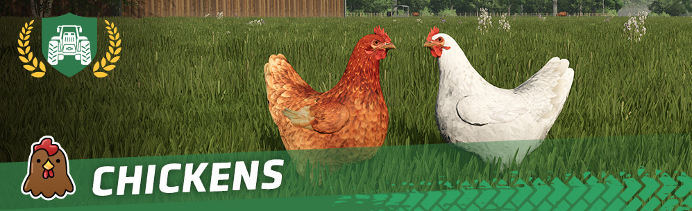 [Animals 101] How To Breed & Care For Chickens