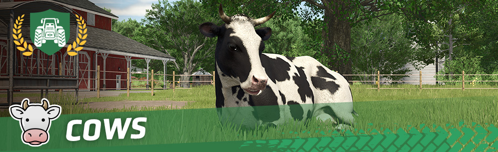 [Animals 101] How To Breed & Care For Cows
