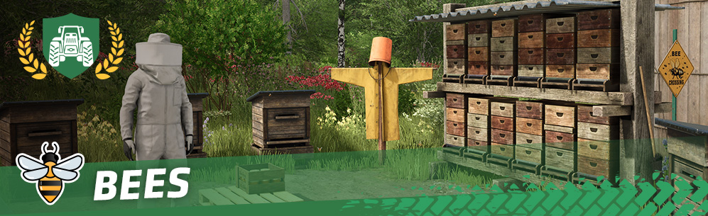 [Animals 101] How To Keep Bees
