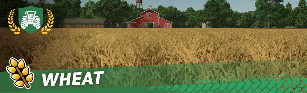 [Crops 101] How To Sow & Harvest Wheat