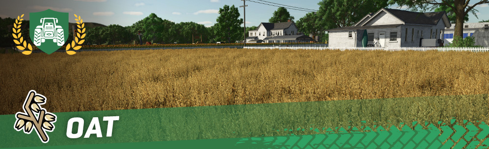 [Crops 101] How To Sow & Harvest Oat