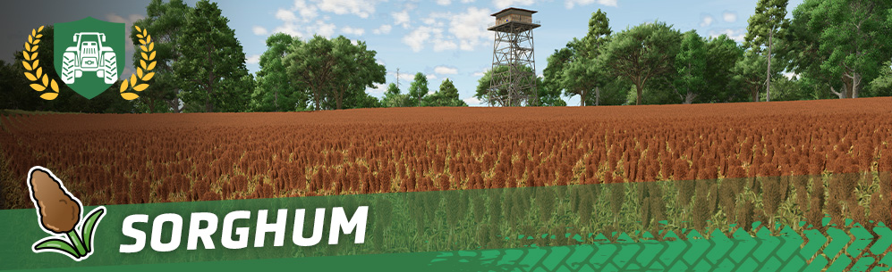 [Crops 101] How To Sow & Harvest Sorghum