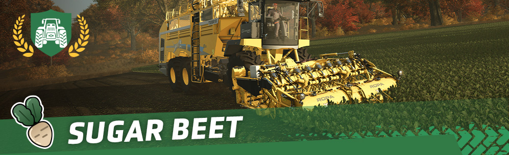 [Crops 101] How To Sow & Harvest Sugar Beet