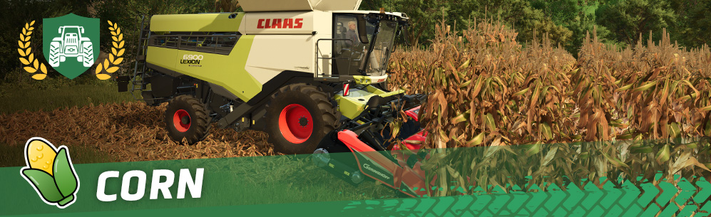 [Crops 101] How To Sow & Harvest Corn / Maize