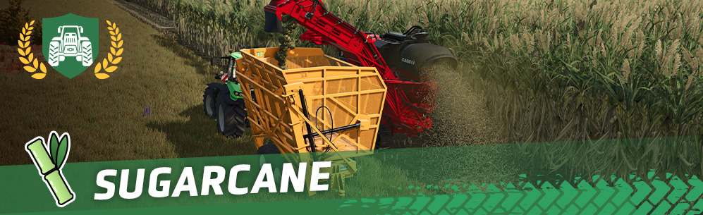 [Crops 101] How To Sow & Harvest Sugarcane