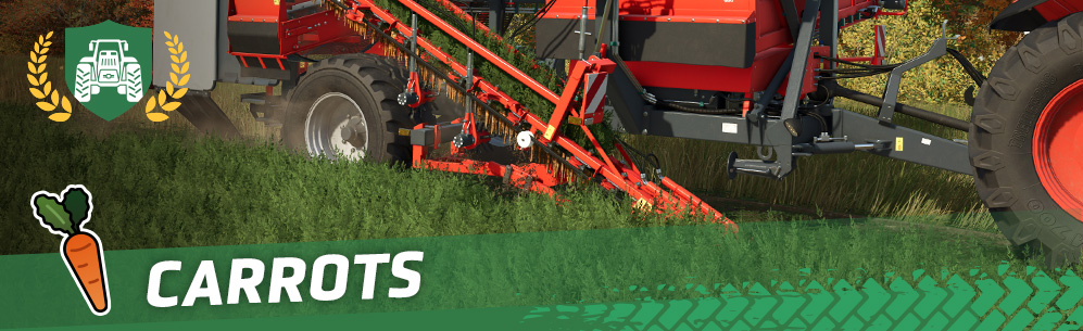 [Crops 101] How To Sow & Harvest Carrots