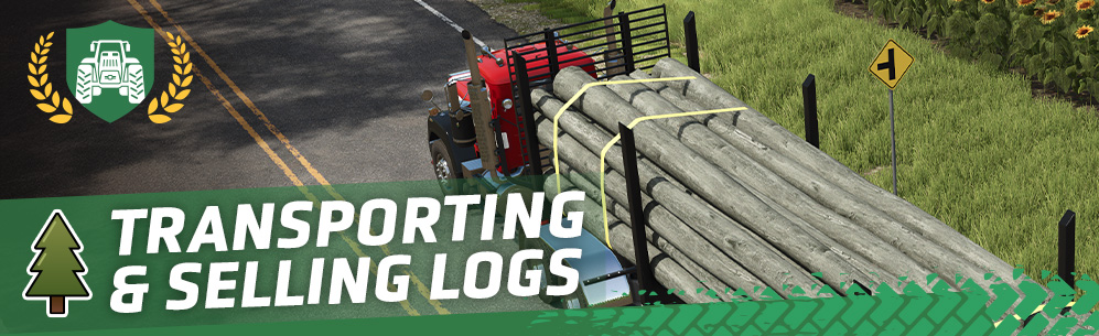 [Forestry 101] How To Transport & Sell Logs Via Trailer Or Container