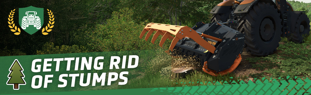 [Forestry 101] How To Get Rid Of Stumps