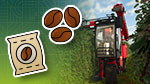 Preview: Coffee Cultivation on Catuaí | Beans & Alpacas